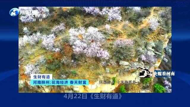 央媒关注河南党史学习