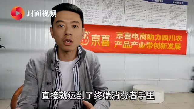 乡村振兴上封面 | “不知火”搭上电商快车,农民手中的黄果果摇身一变“黄金果”