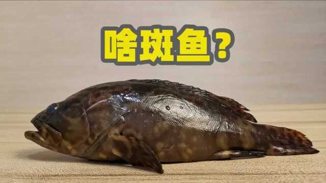 同样是珍珠龙胆石斑鱼,换个地方卖,它的名字也变了