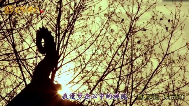 超好听佛教歌曲《娑婆世界》,烦了累了听一听,净化心灵感悟人生