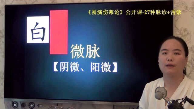 中医脉证微脉上易演伤寒论公开课2