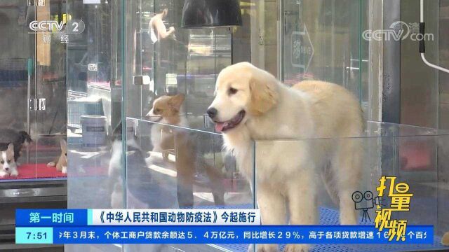 云南昆明:电子养犬登记证可通过手机调取