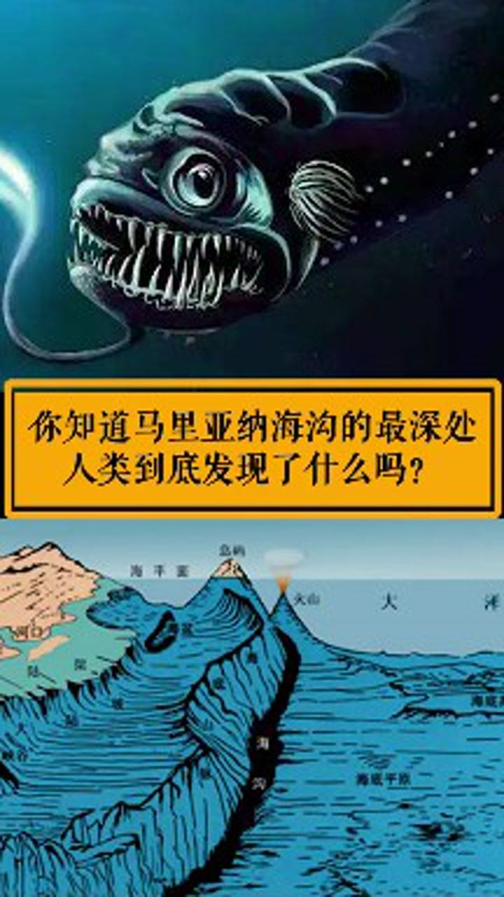 意外神秘的马里亚纳海沟11034米处居然发现了这个