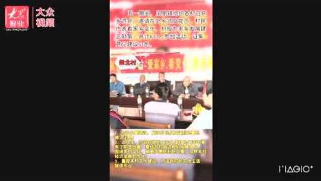 |乡贤建言献策 51条意见建议助力凤凰镇“乡村振兴”