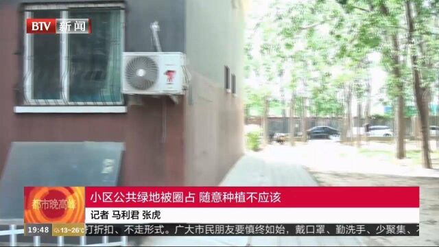 小区公共绿地被圈占,随意种植不应该