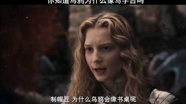 乌鸦为什么会像写字台?