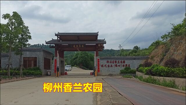 实拍广西柳州香兰农园,几千亩地,周末游玩的好地方,你来过吗?