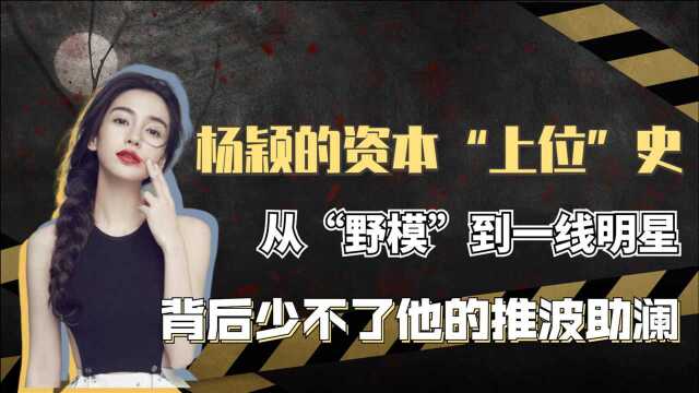 钮钴禄杨颖的资本“上位史”,从嫩模到一线女星,她是怎么做到的