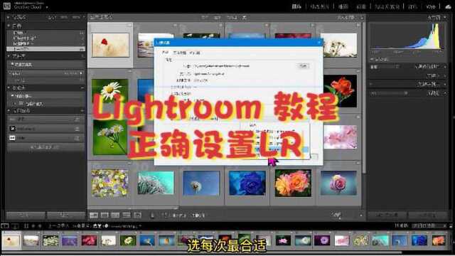 Lightroom快速上手,设置LR,正确的设置有利于后期图片处理