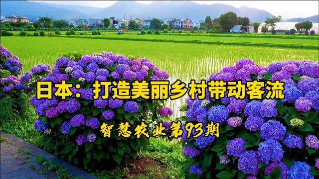 93日本打造美丽乡村带动客流