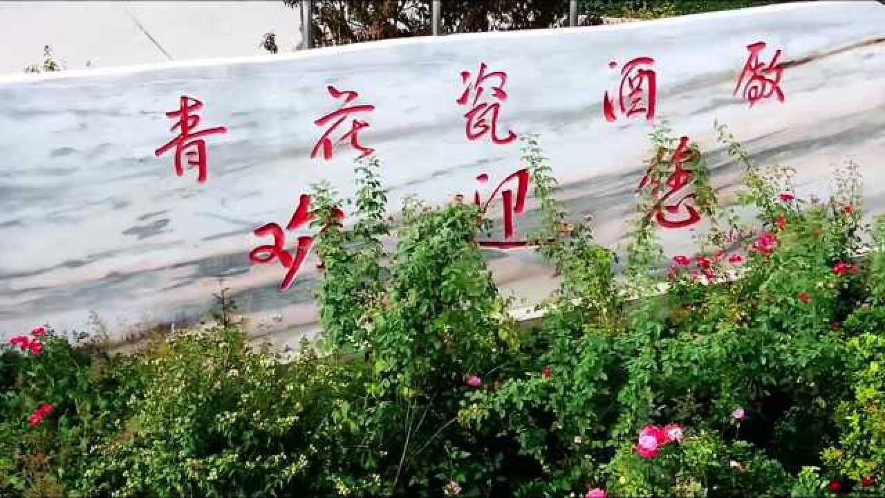 青花瓷酒:匠心成佳酿 公益显担当