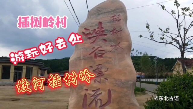 旅游故事:休闲游玩好去处,蛟河松江“插树岭”!