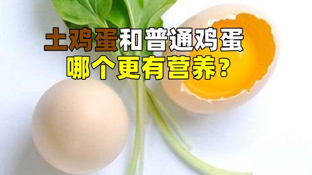 土鸡蛋和普通鸡蛋哪个更有营养呢?专家不小心说漏嘴,答案让人意外!#“知识抢先知”征稿大赛#