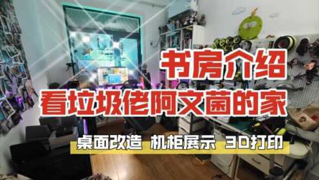 我的书房介绍!看垃圾佬阿文菌的家,桌面改造、机柜展示、3D打印