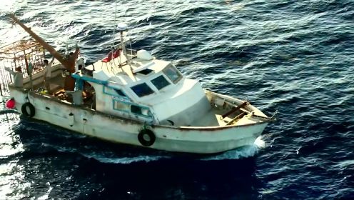 鲨海-09，船长开船驶入远海，这海上的风景是真不错