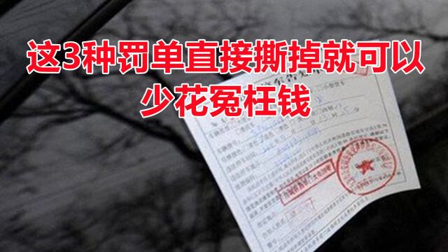 交警:这3种罚单无需交钱,直接撕了也没事,车主别少花冤枉钱