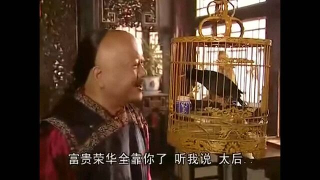 和珅找到一只会说话的鸟,前一句太后吉祥,后一句千年王八