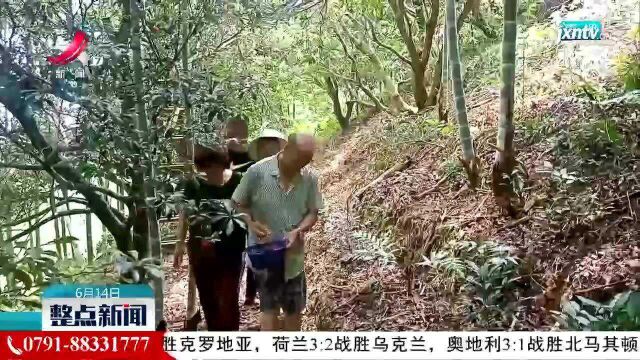 武宁:青山绿水醉游人