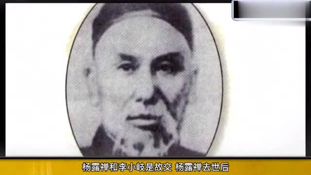 身形不动把霍元甲摔出丈外,慈禧的保镖大内飞鹰李瑞东的那些事!