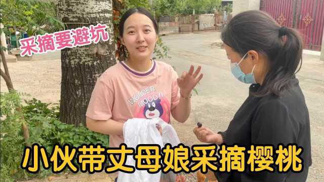 小伙带丈母娘去北京郊区摘樱桃,本来兴高采烈,没想到结账却被坑