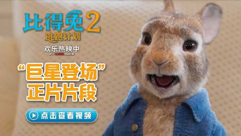 《比得兔2：逃跑计划》票房破亿 口碑领跑成周末家庭观影首选
