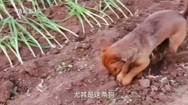 享受生活的乐趣