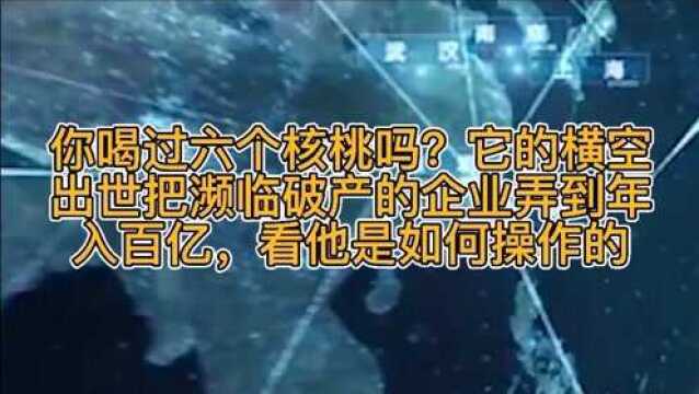 你喝过六个核桃吗?它的横空出世把濒临破产的企业弄到年入百亿,看他是如何操作的