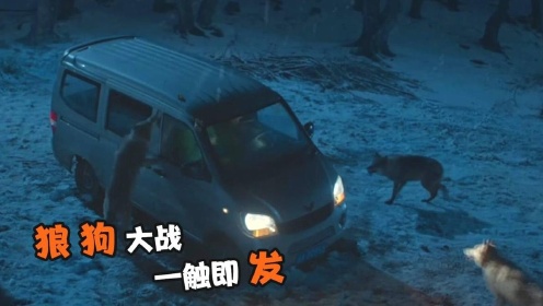 血狼犬：主人被雪狼袭击，狗狗回家搬救兵，带领全村的狗前来救援