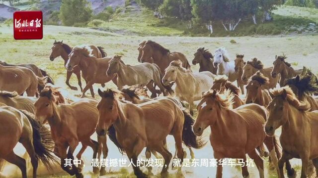 “沿着高速看中国”河北篇ⷮŠ文化寻根之旅⑤ | 风吹麦浪故郡北