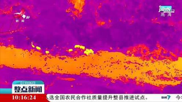 云南北移亚洲象群向西南迁移进入新平县