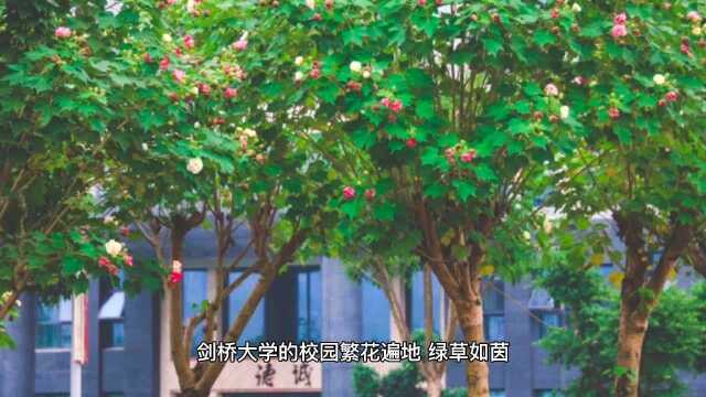 牛顿上大学的第一天