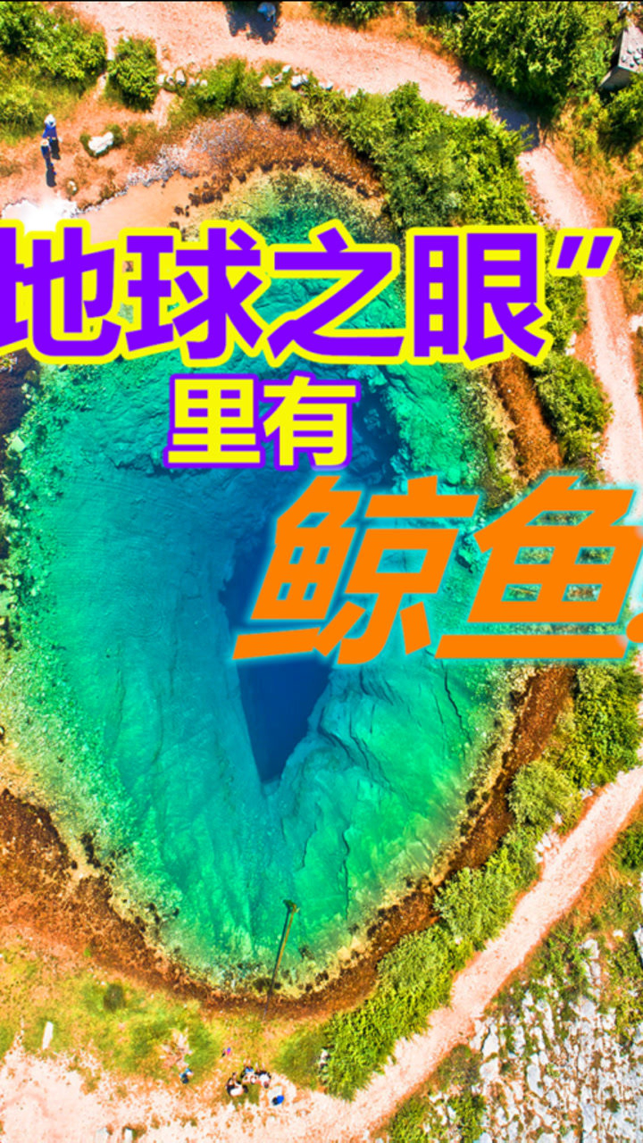 地球之眼中真的有鲸鱼