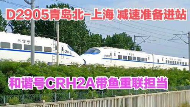 D2905次青岛北上海,减速准备进赣榆站,CRH2A重联带鱼担当