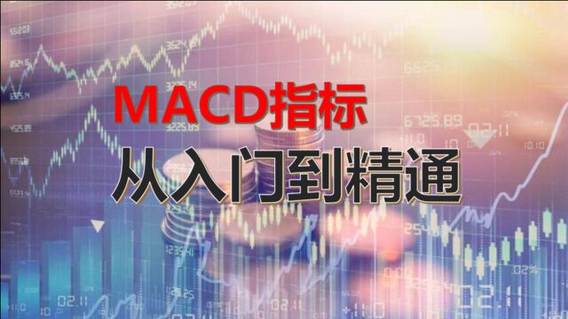 MACD指标从入门到精通