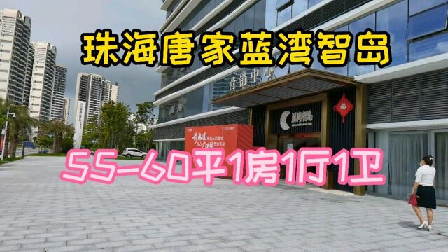 珠海唐家蓝湾智岛60平一线海景房,心动不?