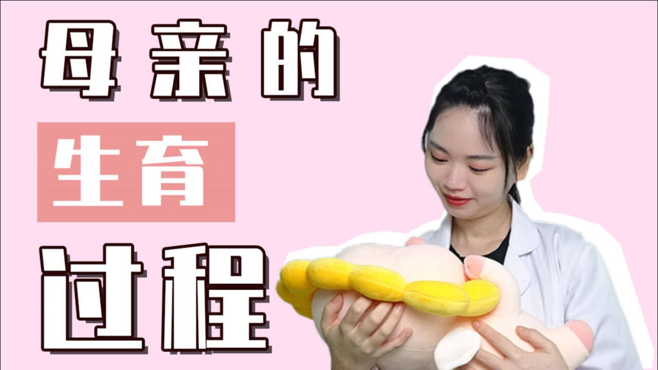 3分钟带你了解，女人怀孕全过程_高清