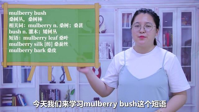 一分钟一词汇,短语mulberry bush你知道它是什么意思吗