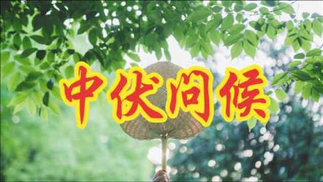 中伏至!祝福到!愿你时时有祝“伏”! 天天享清“伏”!