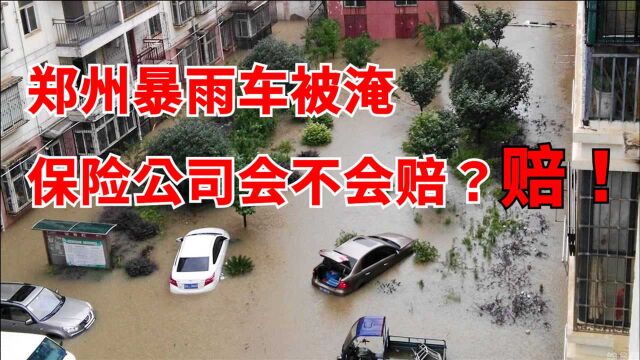 保险公司会不会赔?郑州暴雨大量车辆被淹,新保险政策,一定赔!