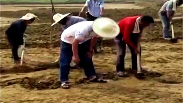 农田中布下100多条探沟,考古人员竟挖出了青铜器,还是青铜兵器