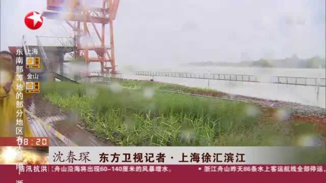 网传上海徐汇滨江被淹视频不实