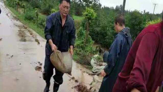 风雨中践行为民初心 汛情前展现党员担当