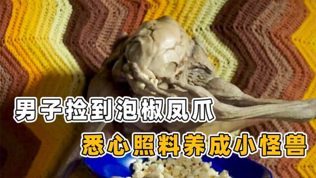 男子捡到泡椒凤爪,精心培育,养成一只小怪物#电影种草指南大赛#