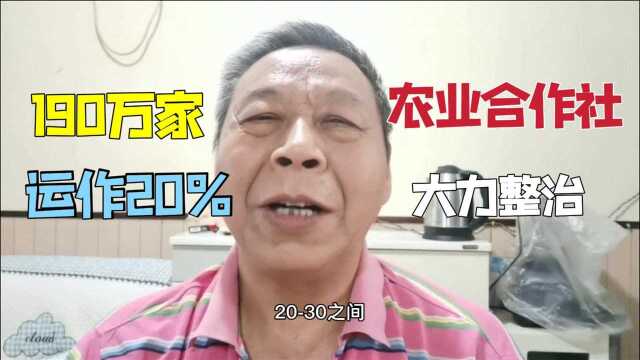 农业合作社方面下功夫,190万家运作只有20%,尽快干鼓励发展