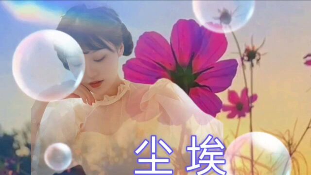 好听的流行歌曲