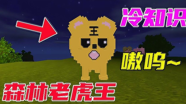 迷你世界:召唤森林之王老虎,夜深人静凌晨一点献祭生猪肉 !