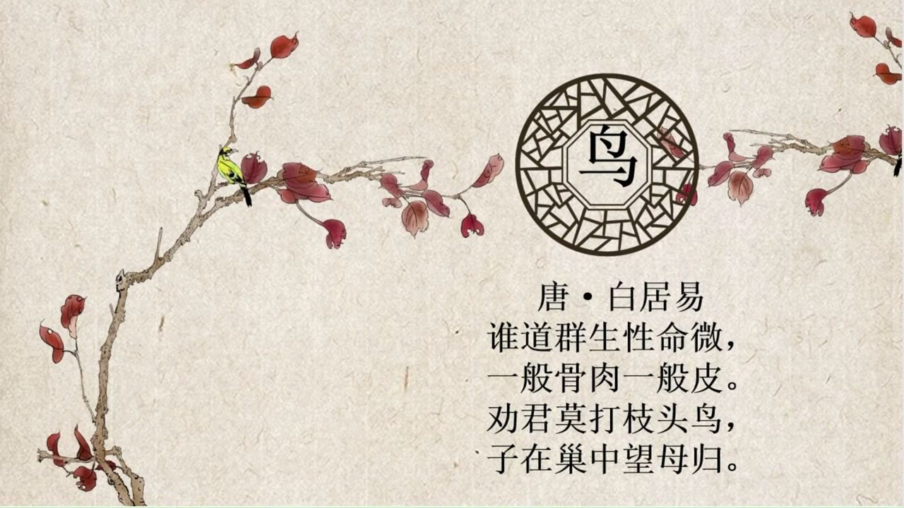 白居易.鸟_腾讯视频