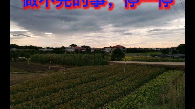 田园夕阳晚景