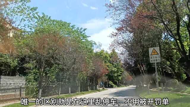 重庆占地三千亩的小区,在小区里开车需要导航,开发商却已消失多年