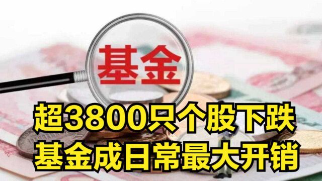 超3800只个股下跌,基金成日常最大开销,网友:销户吧